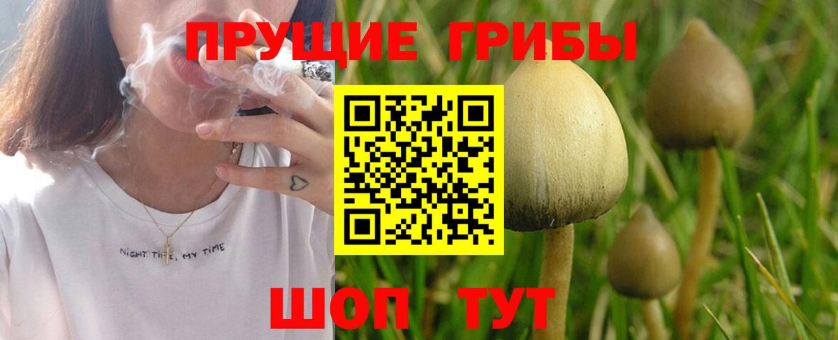 Галлюциногенные грибы GOLDEN TEACHER Бердск